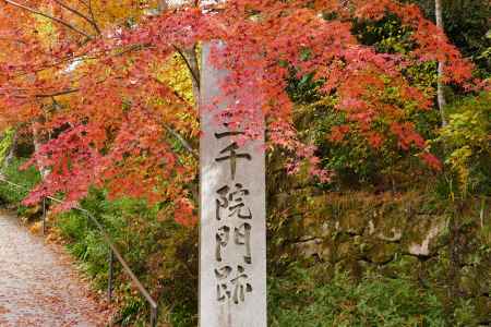 大原三千院参道3