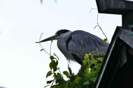 祇園東山から粟田神社