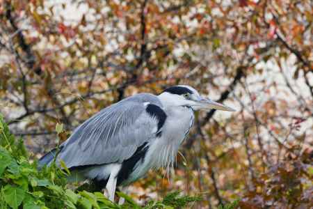祇園東山から粟田神社3