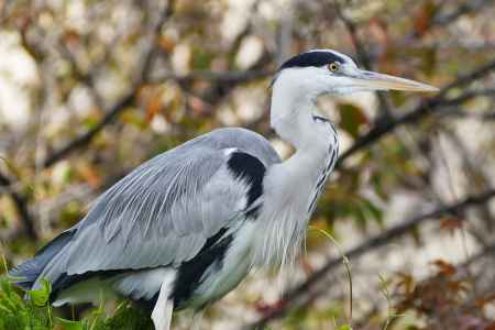 祇園東山から粟田神社4
