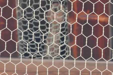 知恩院 忘れ傘2