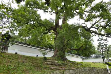 祇園東山から青蓮院