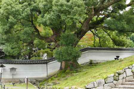 祇園東山から青蓮院3