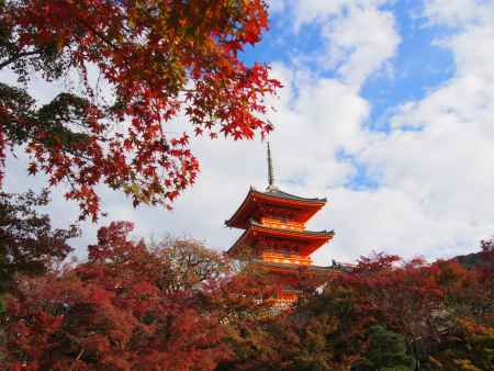 自然と人工物の赤の競演