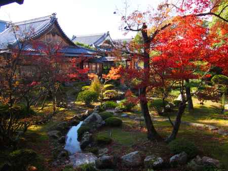 大覚寺の紅葉１