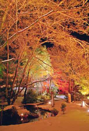 金色に照らされた雪の庭