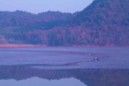 水鏡の上に描く