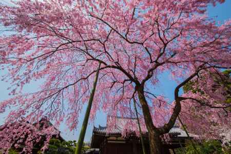 あまりの素晴らしさに撮ることを忘れかけ・・・