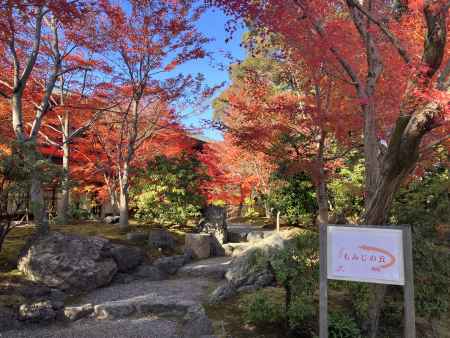 城南宮の美しい紅葉