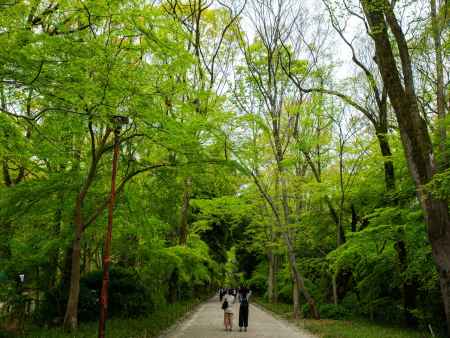 賀茂御祖神社　表参道