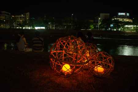 光りに吸い寄せられて