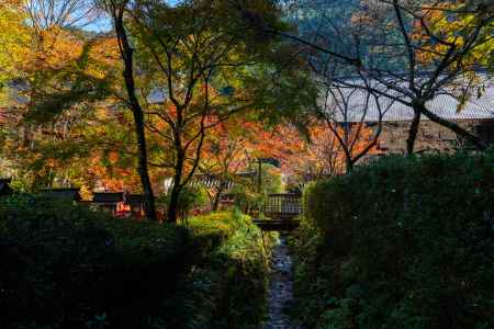 鞍馬寺にて　2