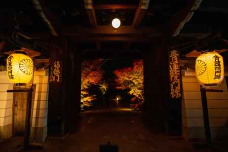 青蓮院門跡 将軍塚青龍殿　4