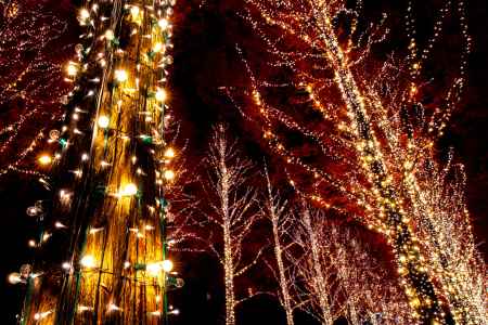 降り注ぐ光の粒