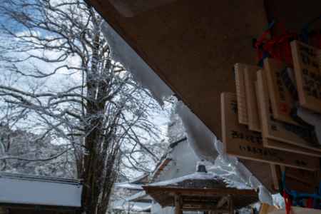 神々のいる世界　3