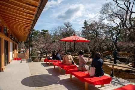 北野天満宮　梅の苑