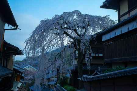朝の産寧坂にて