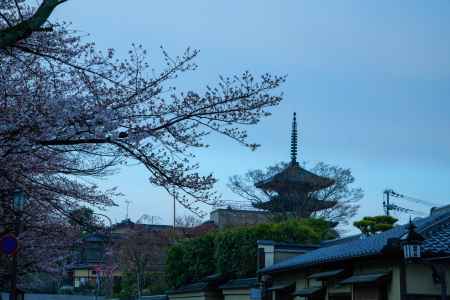 ねねの道と八坂の塔