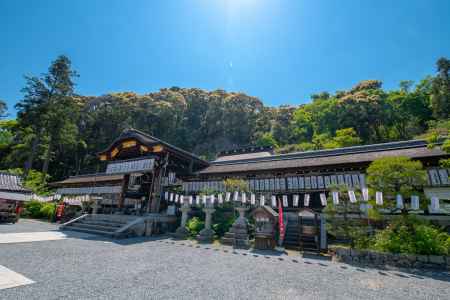 亀さんに会いにいきました