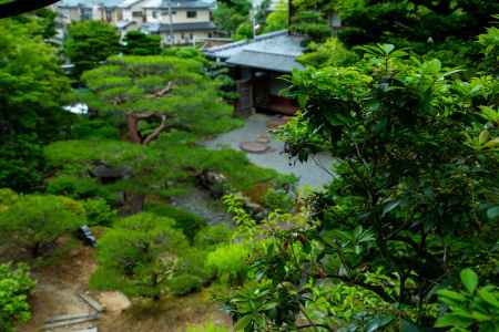 旧邸御室　茶室から