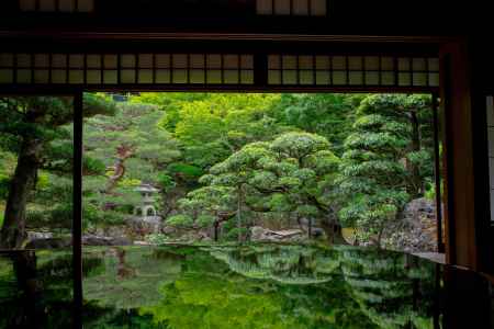 花梨のテーブル風景