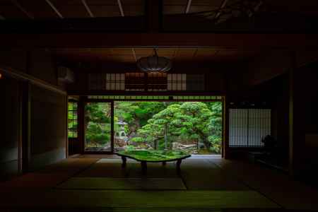 緑のリフレクション