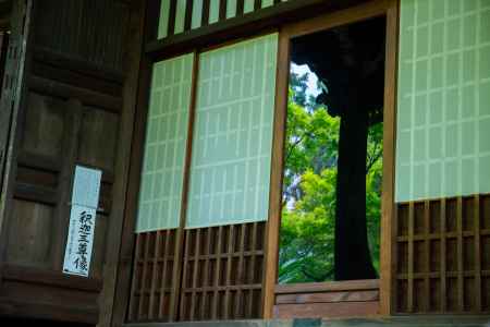 青もみじ写る窓