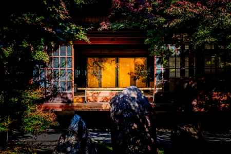 庭から見る二神