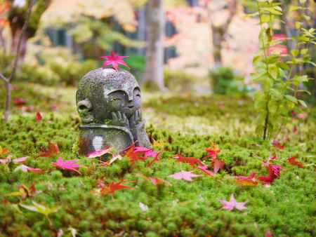 圓光寺　ほほえみ地蔵　秋