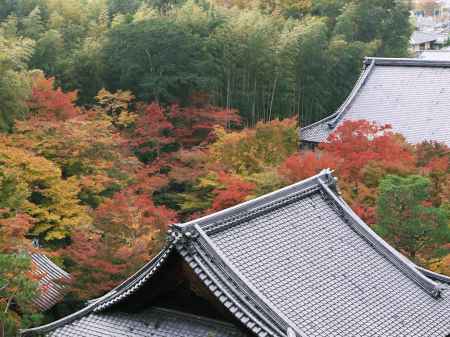 圓光寺を望む　屋根と紅葉