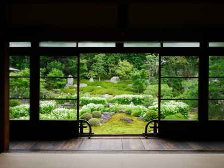 建仁寺　両足院　半夏生の庭２