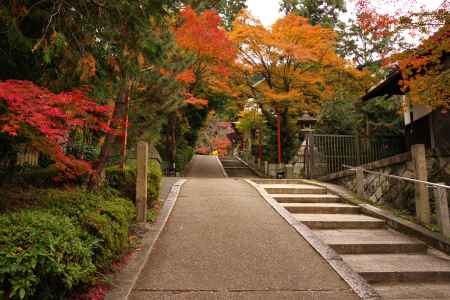 粟田神社の紅葉