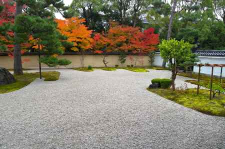 廬山寺　源氏庭の紅葉2