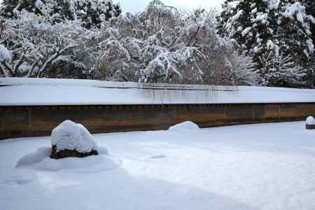 冬の龍安寺方丈庭園2