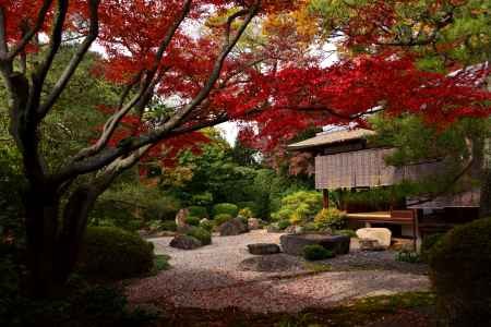 御香宮神社の紅葉2