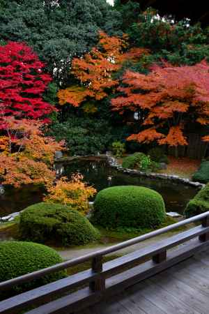 隨心院の紅葉4