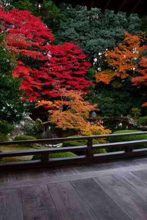 隨心院の紅葉5