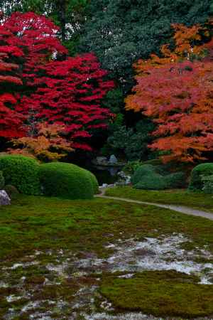 隨心院の紅葉8