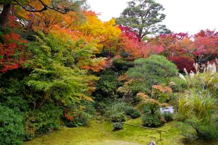 大河内山荘の紅葉