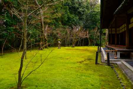 冬の高桐院庭園5