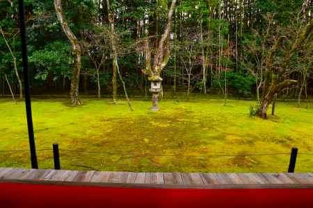 冬の高桐院庭園7