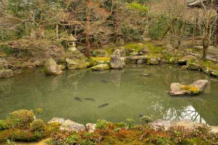 冬の蓮華寺庭園3