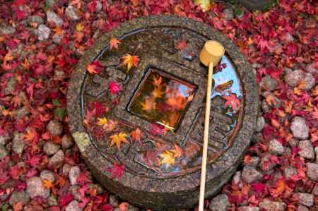 金福寺の紅葉10