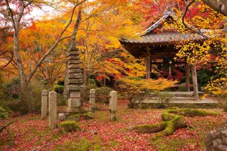 勝持寺の紅葉18