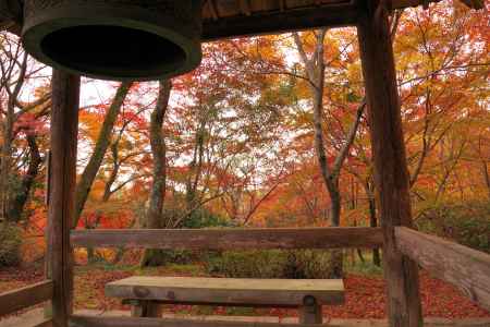 勝持寺の紅葉27