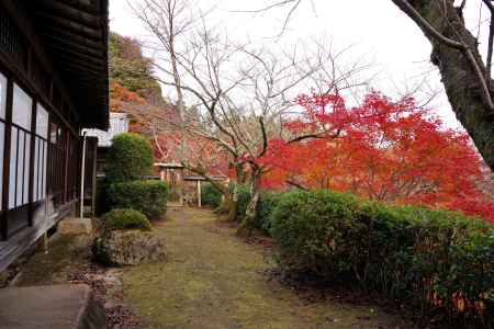 勝持寺の紅葉44
