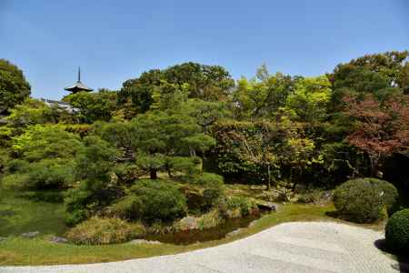 仁和寺北庭1