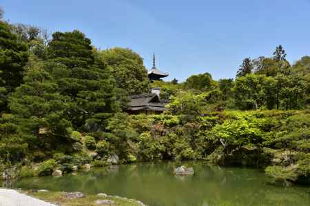 仁和寺北庭2