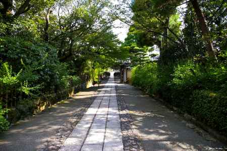 夏の龍安寺参道1