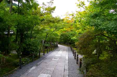 夏の永観堂の風景3